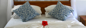 homepage_thumbnail