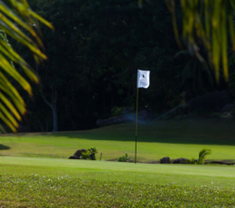 Golf-course-flag